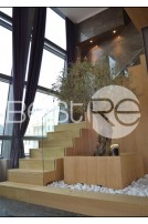 For-sale Apartment Vracar Real estate